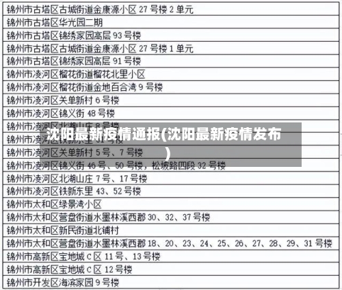 沈阳最新疫情通报(沈阳最新疫情发布)-第2张图片