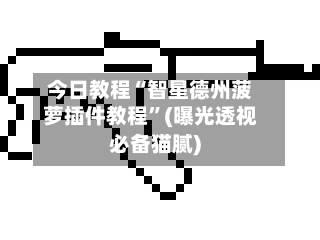 今日教程“智星德州菠萝插件教程”(曝光透视必备猫腻)-第2张图片