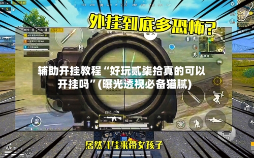 辅助开挂教程“好玩贰柒拾真的可以开挂吗”(曝光透视必备猫腻)-第3张图片