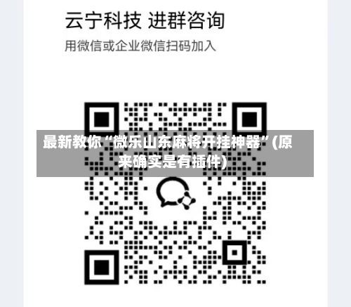 最新教你“微乐山东麻将开挂神器”(原来确实是有插件)-第3张图片