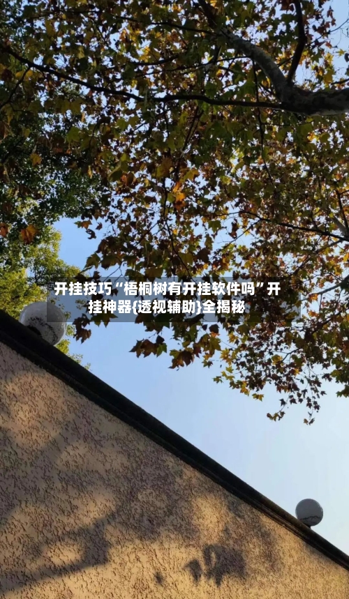 开挂技巧“梧桐树有开挂软件吗”开挂神器{透视辅助}全揭秘
