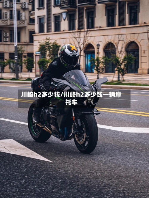 川崎h2多少钱/川崎h2多少钱一辆摩托车-第2张图片