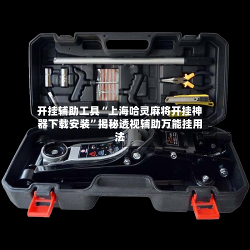 开挂辅助工具“上海哈灵麻将开挂神器下载安装	”揭秘透视辅助万能挂用法-第3张图片