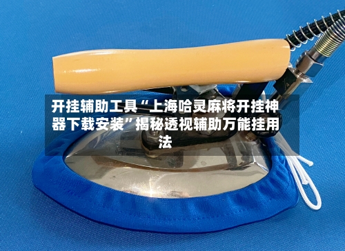 开挂辅助工具“上海哈灵麻将开挂神器下载安装”揭秘透视辅助万能挂用法-第2张图片