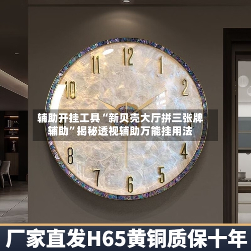 辅助开挂工具“新贝壳大厅拼三张牌辅助”揭秘透视辅助万能挂用法-第3张图片