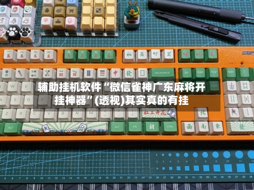 辅助挂机软件“微信雀神广东麻将开挂神器	”(透视)其实真的有挂-第2张图片