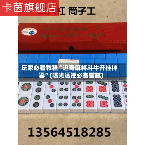 玩家必看教程“迅奇麻将斗牛开挂神器”(曝光透视必备猫腻)-第3张图片