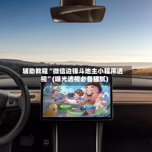 辅助教程“微信边锋斗地主小程序透视”(曝光透视必备猫腻)-第2张图片