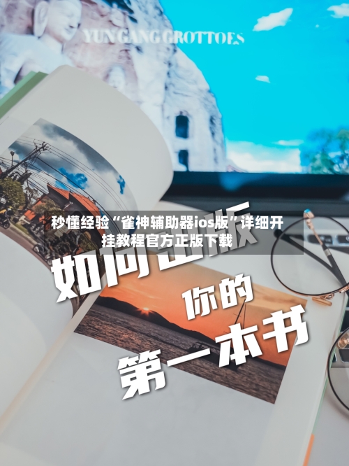 秒懂经验“雀神辅助器ios版”详细开挂教程官方正版下载-第2张图片