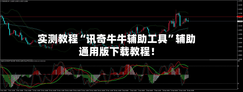 实测教程“讯奇牛牛辅助工具”辅助通用版下载教程！-第2张图片