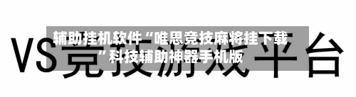 辅助挂机软件“唯思竞技麻将挂下载”科技辅助神器手机版-第2张图片