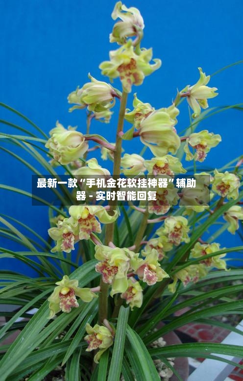 最新一款“手机金花软挂神器	”辅助器 - 实时智能回复-第2张图片