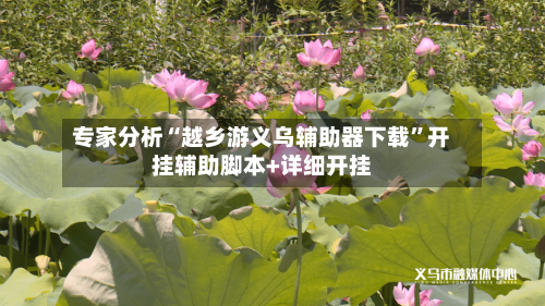 专家分析“越乡游义乌辅助器下载	”开挂辅助脚本+详细开挂-第2张图片