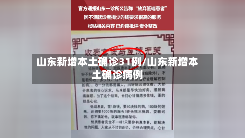 山东新增本土确诊31例/山东新增本土确诊病例