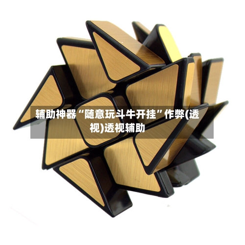 辅助神器“随意玩斗牛开挂”作弊(透视)透视辅助