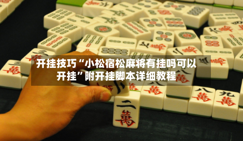 开挂技巧“小松宿松麻将有挂吗可以开挂”附开挂脚本详细教程-第2张图片