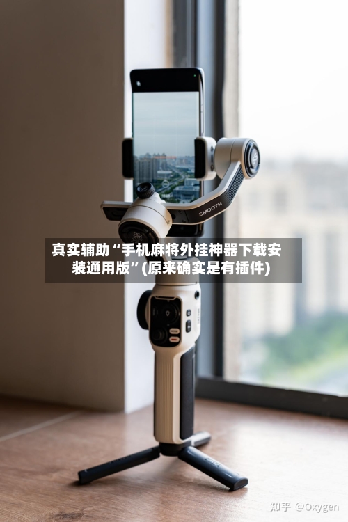 真实辅助“手机麻将外挂神器下载安装通用版	”(原来确实是有插件)-第2张图片