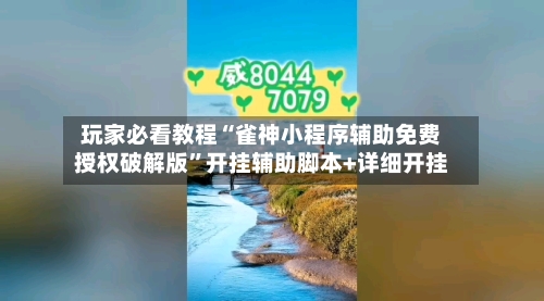 玩家必看教程“雀神小程序辅助免费授权破解版”开挂辅助脚本+详细开挂-第2张图片