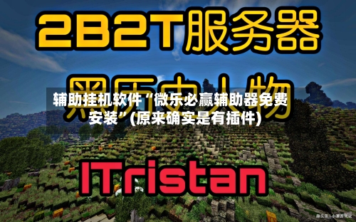 辅助挂机软件“微乐必赢辅助器免费安装	”(原来确实是有插件)-第2张图片