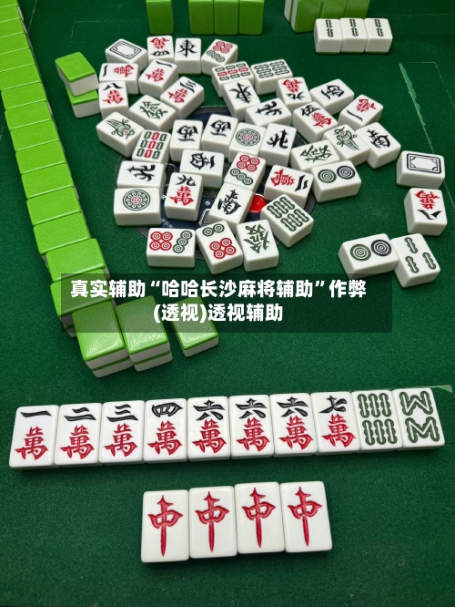 真实辅助“哈哈长沙麻将辅助”作弊(透视)透视辅助-第2张图片