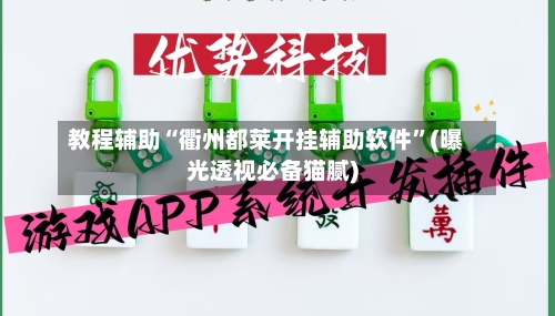 教程辅助“衢州都莱开挂辅助软件”(曝光透视必备猫腻)-第2张图片