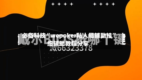 必备科技“wepoker私人局辅助挂”细辅助教程分享