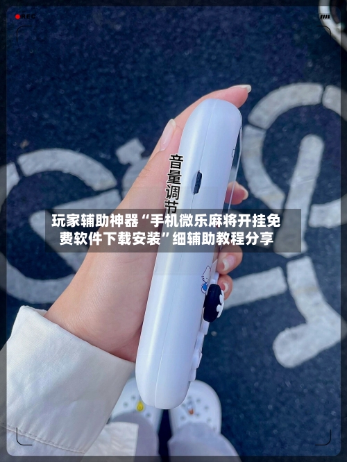 玩家辅助神器“手机微乐麻将开挂免费软件下载安装	”细辅助教程分享-第2张图片