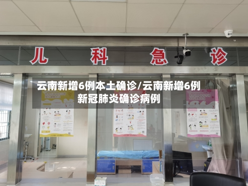 云南新增6例本土确诊/云南新增6例新冠肺炎确诊病例-第2张图片