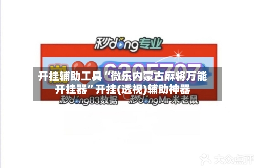 开挂辅助工具“微乐内蒙古麻将万能开挂器”开挂(透视)辅助神器-第3张图片