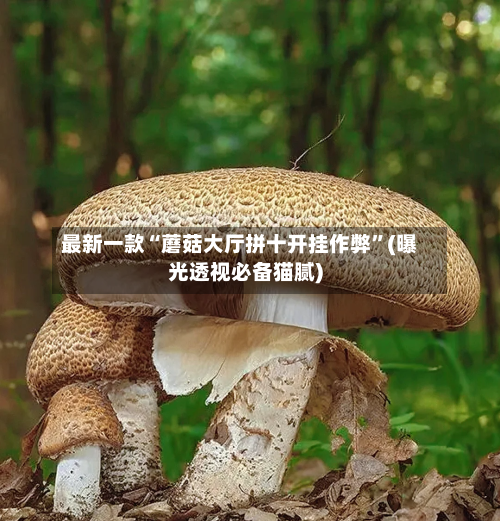 最新一款“蘑菇大厅拼十开挂作弊”(曝光透视必备猫腻)-第3张图片