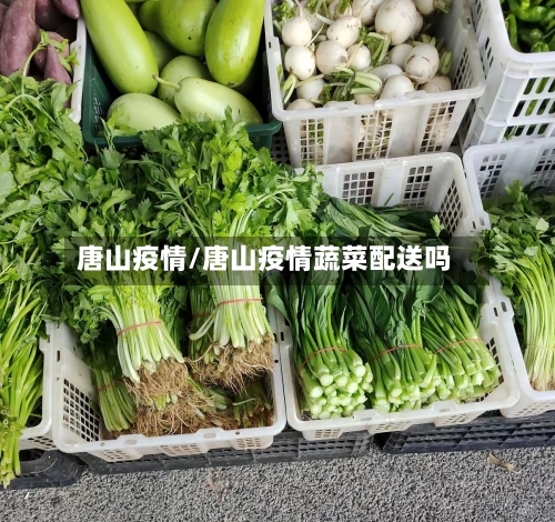 唐山疫情/唐山疫情蔬菜配送吗
