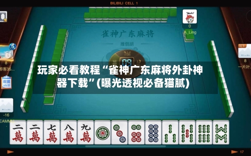 玩家必看教程“雀神广东麻将外卦神器下载	”(曝光透视必备猫腻)-第2张图片