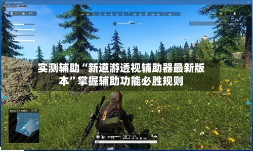 实测辅助“新道游透视辅助器最新版本	”掌握辅助功能必胜规则-第2张图片