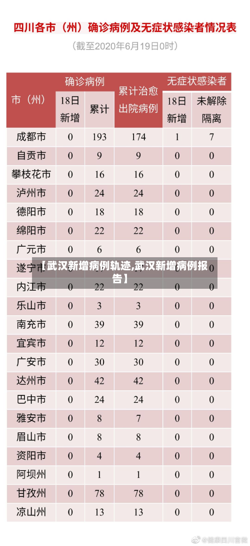 【武汉新增病例轨迹,武汉新增病例报告】-第2张图片