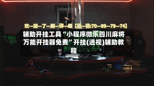 辅助开挂工具“小程序微乐四川麻将万能开挂器免费”开挂(透视)辅助教程-第2张图片