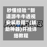 秒懂经验“新道游牛牛透视安装教程”(辅助神器)开挂详细教程-第2张图片