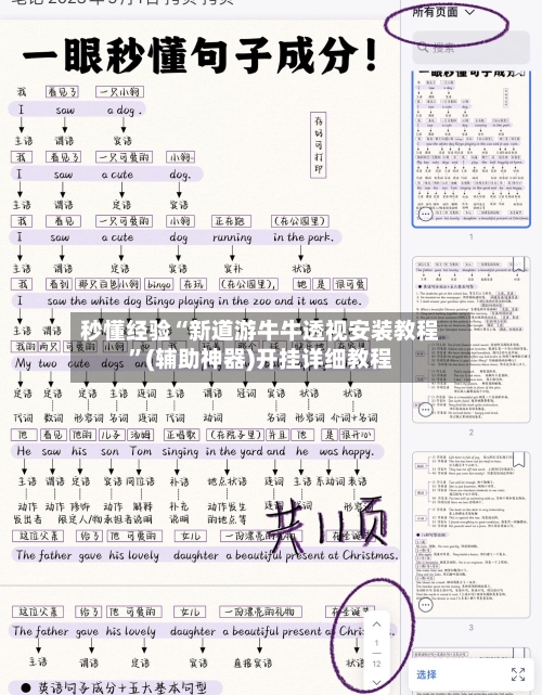 秒懂经验“新道游牛牛透视安装教程”(辅助神器)开挂详细教程-第3张图片