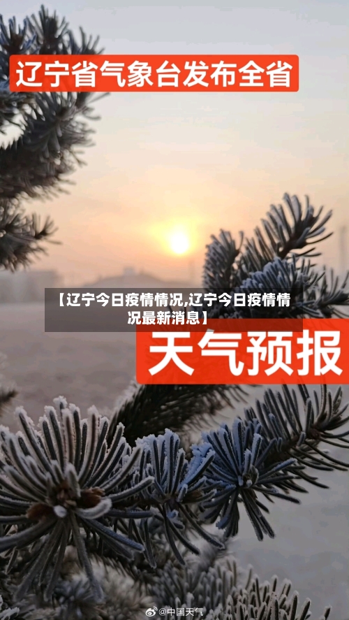 【辽宁今日疫情情况,辽宁今日疫情情况最新消息】-第2张图片