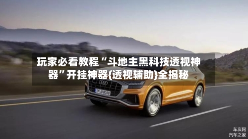 玩家必看教程“斗地主黑科技透视神器”开挂神器{透视辅助}全揭秘-第2张图片