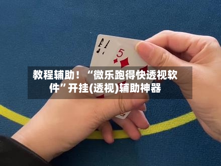 教程辅助！“微乐跑得快透视软件”开挂(透视)辅助神器-第3张图片