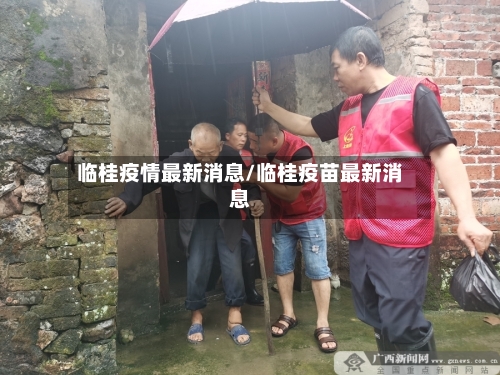 临桂疫情最新消息/临桂疫苗最新消息-第2张图片