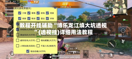 教程开挂辅助“博乐龙江填大坑透视”(透视挂)详细用法教程-第2张图片