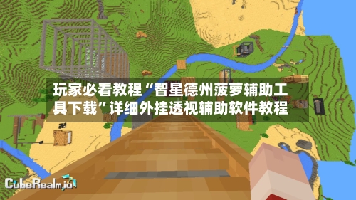 玩家必看教程“智星德州菠萝辅助工具下载”详细外挂透视辅助软件教程