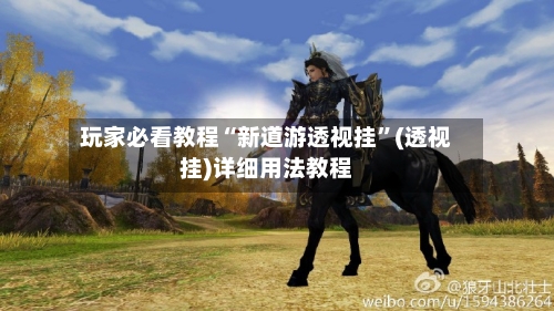 玩家必看教程“新道游透视挂”(透视挂)详细用法教程