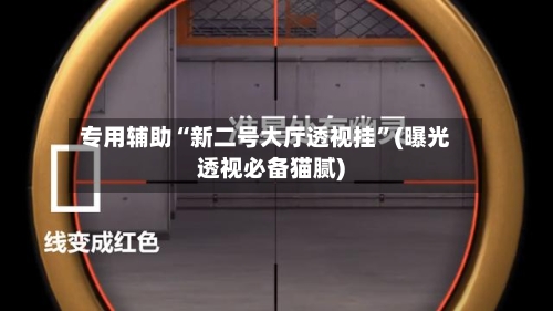 专用辅助“新二号大厅透视挂	”(曝光透视必备猫腻)-第2张图片