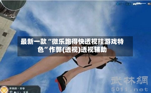 最新一款“微乐跑得快透视挂游戏特色”作弊(透视)透视辅助-第2张图片