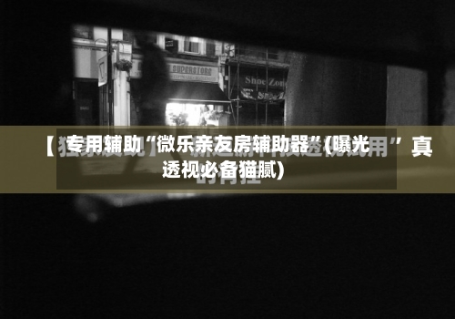 专用辅助“微乐亲友房辅助器	”(曝光透视必备猫腻)-第2张图片