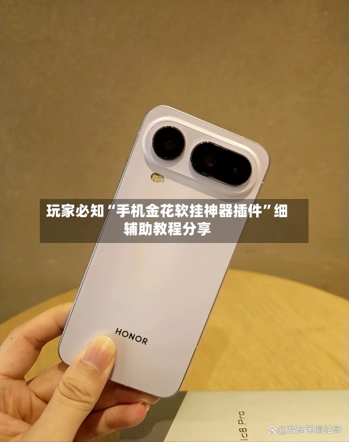 玩家必知“手机金花软挂神器插件”细辅助教程分享