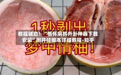 教程辅助！“情怀麻将外卦神器下载安装”附开挂脚本详细教程-知乎