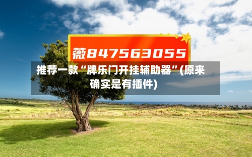 推荐一款“牌乐门开挂辅助器”(原来确实是有插件)-第3张图片